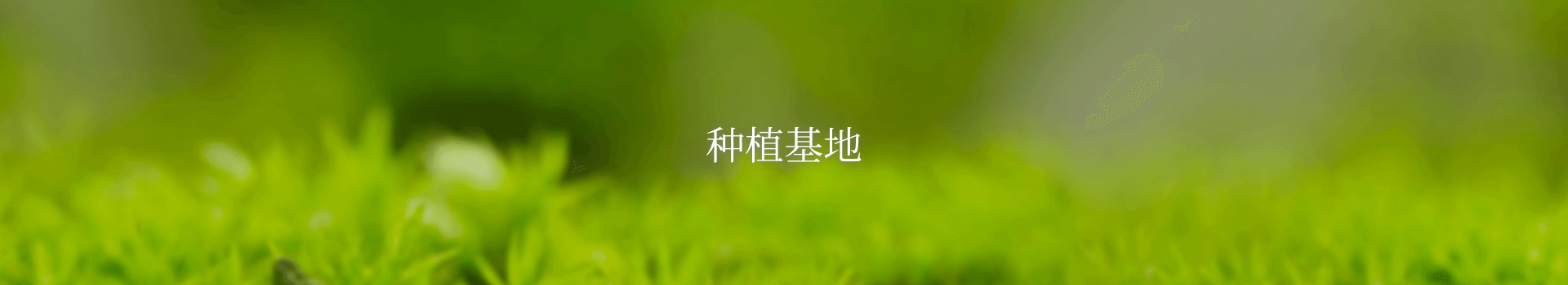 横幅